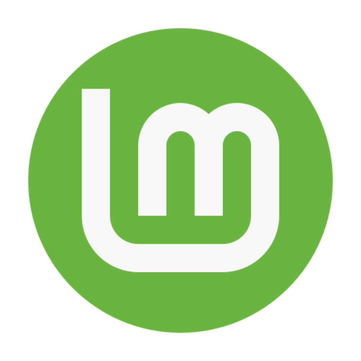 Linux Mint Installation