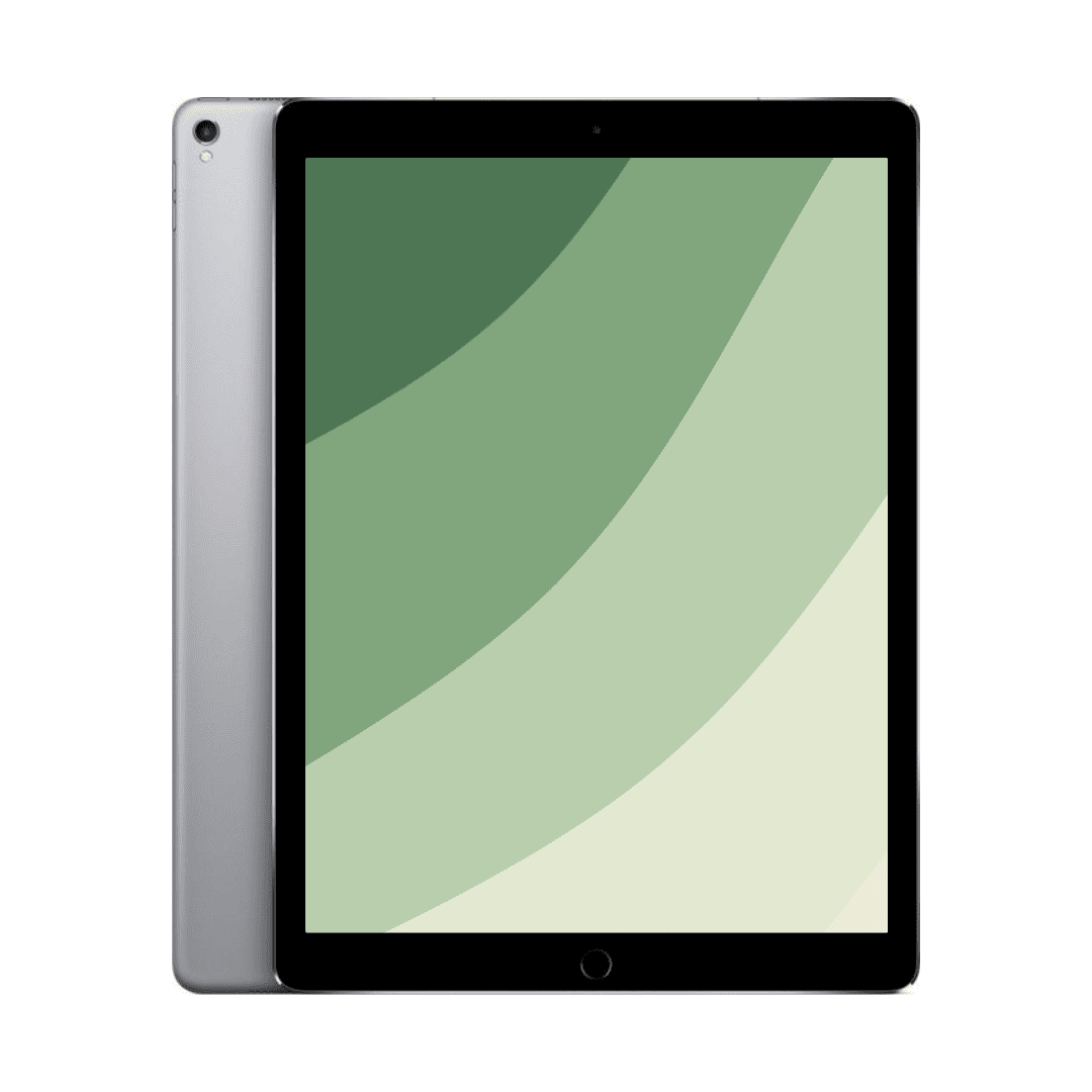 iPad Pro 12,9" (2. gen) Wi-Fi + Cellular | 256 GB | Sort