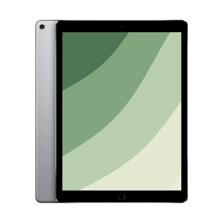 iPad Pro 12,9" (2. gen) Wi-Fi + Cellular | 256 GB | Sort