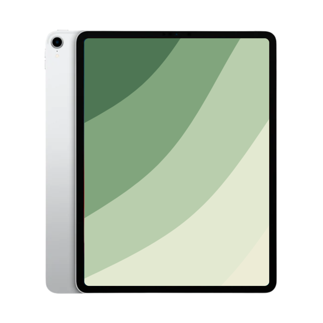brugt iPad Pro 3 (2018)