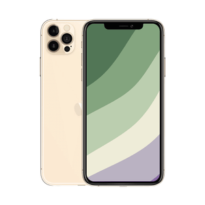 iPhone 12 Pro Max i guld fra kosmos renew
