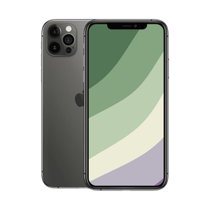 iPhone 12 Pro Max i sort