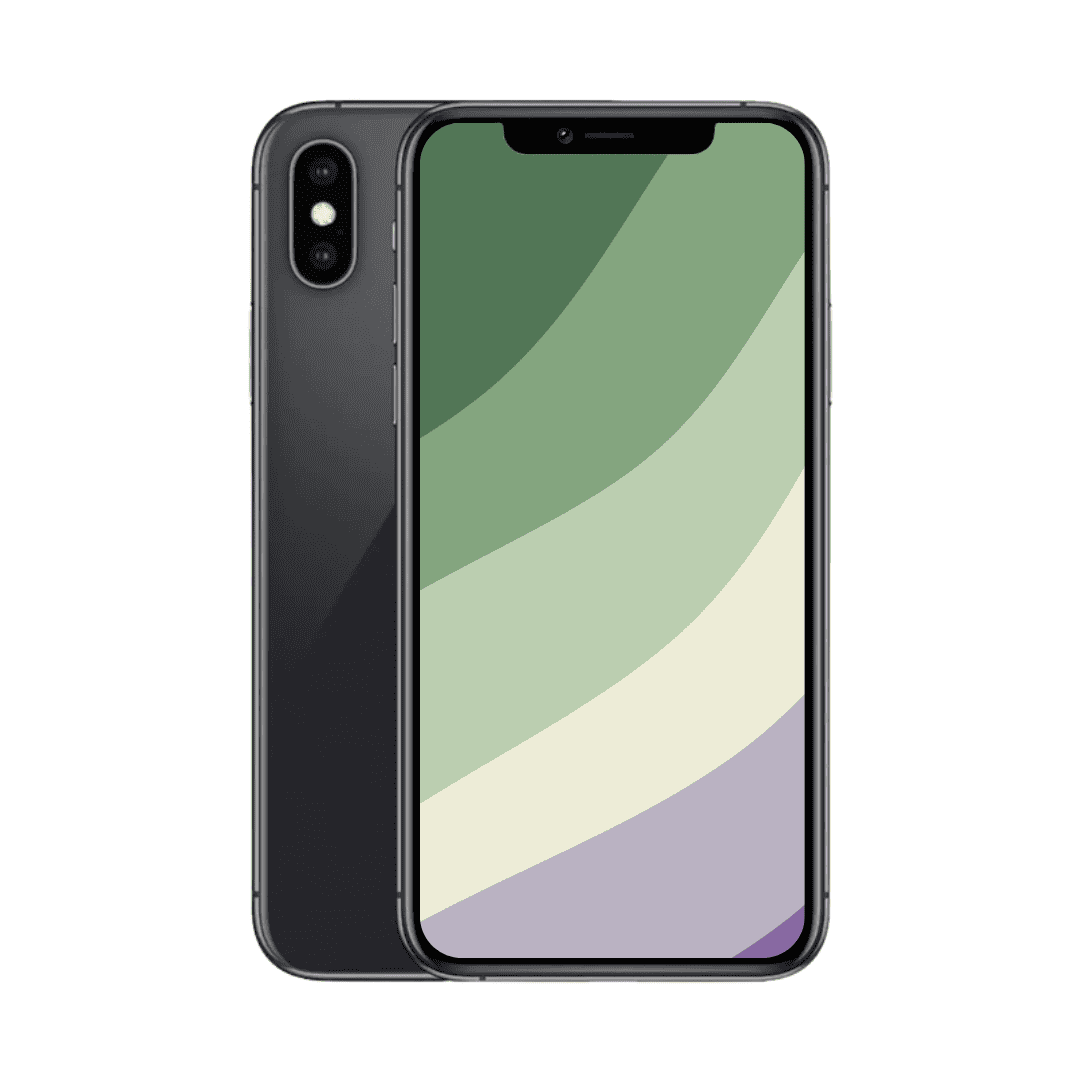 iPhone XS Max i sort